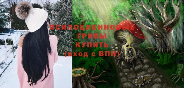а пвп мука Абаза