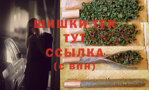 гидропоника Няндома