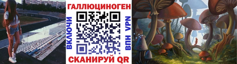 Галлюциногенные грибы GOLDEN TEACHER  купить наркотики сайты  Чкаловск 